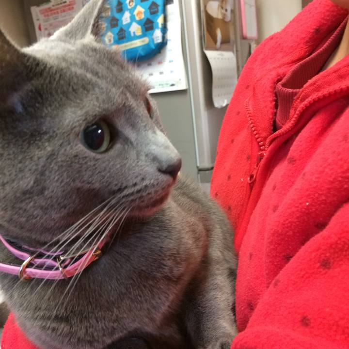 2f7d1460 ba8b 4e2d be5b 474559d9d94e