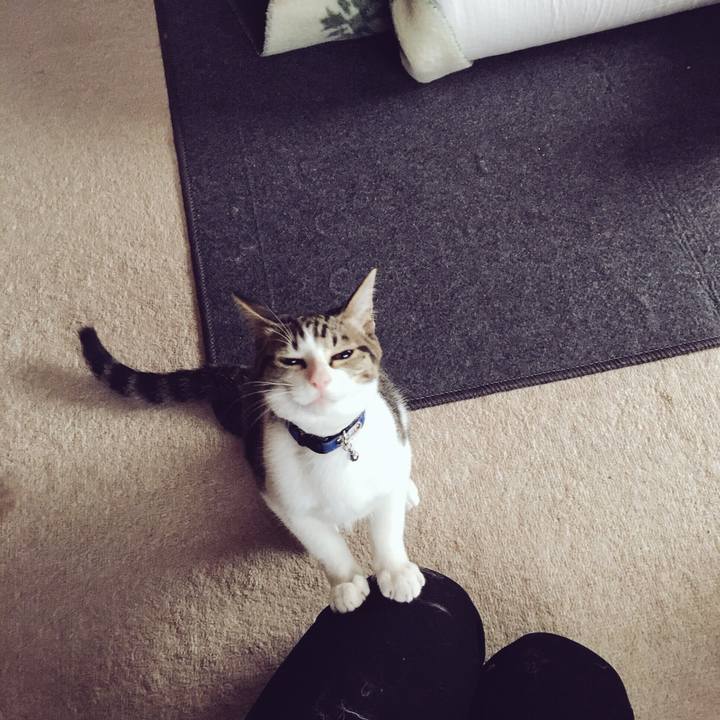 2f7da13f 51ff 4a99 8636 7627c37bad62