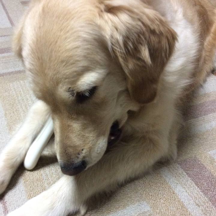 2f7e0ad9 fe0d 48a5 9df3 a3f0d08cbf96