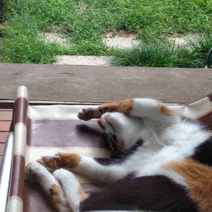 2f7e0e69 ff81 450a 856a 39245afa2211