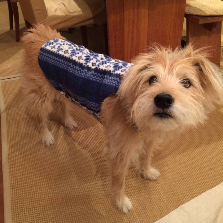 2f7e1747 d8f6 473f a77e 28361c5f37c3