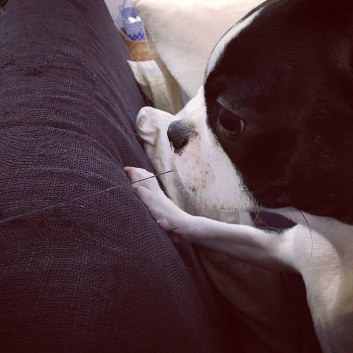 2f7e32a3 590c 4f58 9fdc 9cfe2db642d2