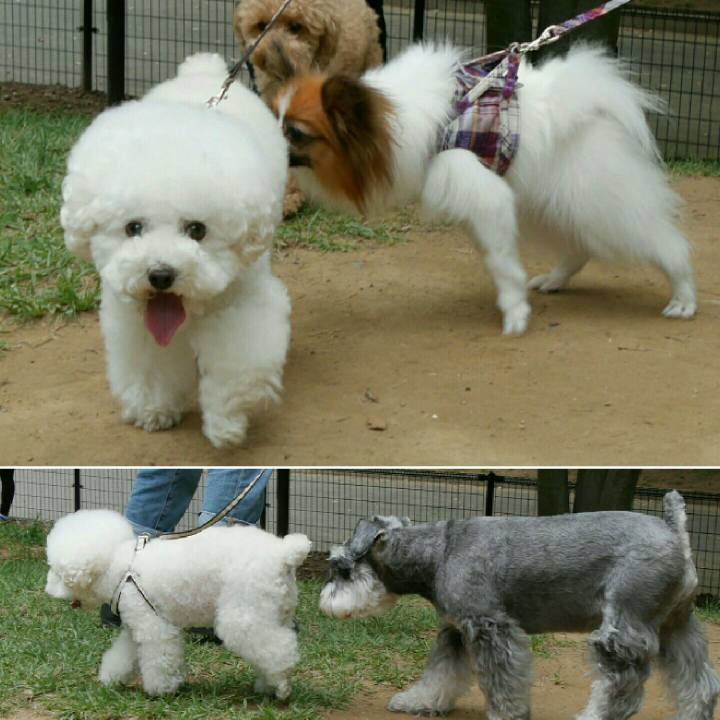 2f7e4b53 30fa 405f ad99 356ebde866ce