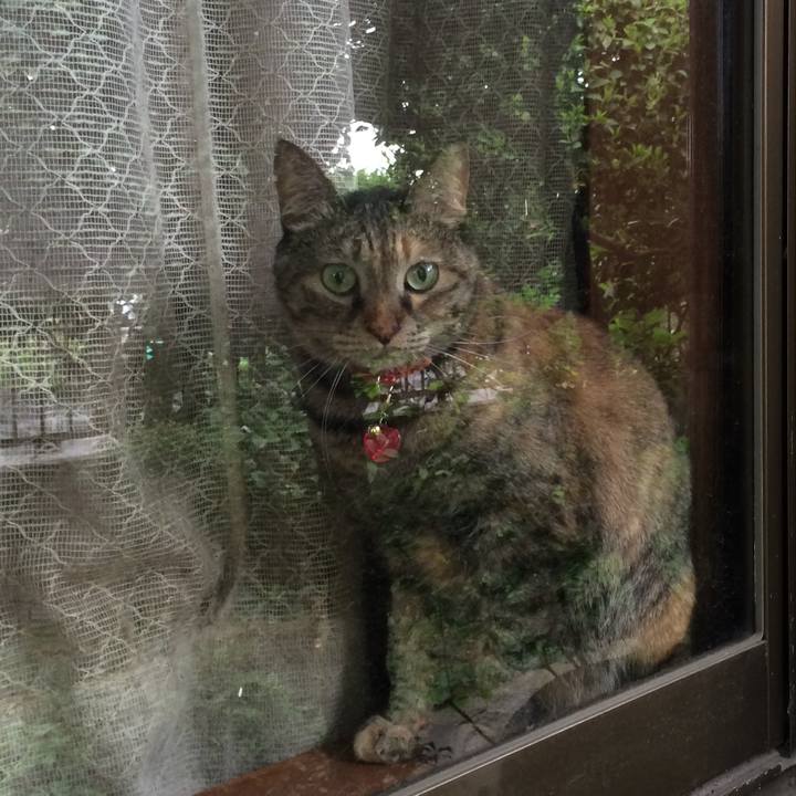 2f7e6591 1692 4274 93d5 3fb850ea04f0