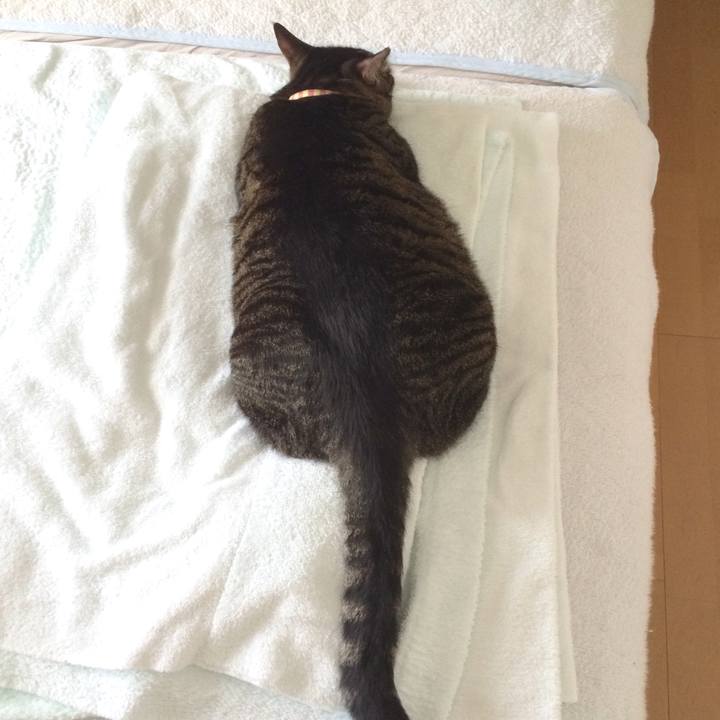 2f7e821a 9543 46ba aaa9 daedd2ddfb74