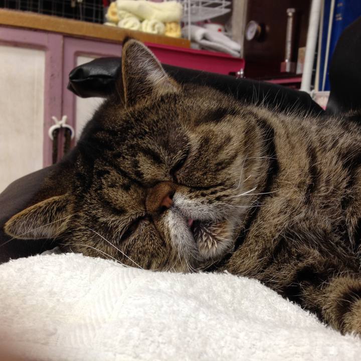 2f7e9789 42dc 4f42 8d44 2d0df19264d4