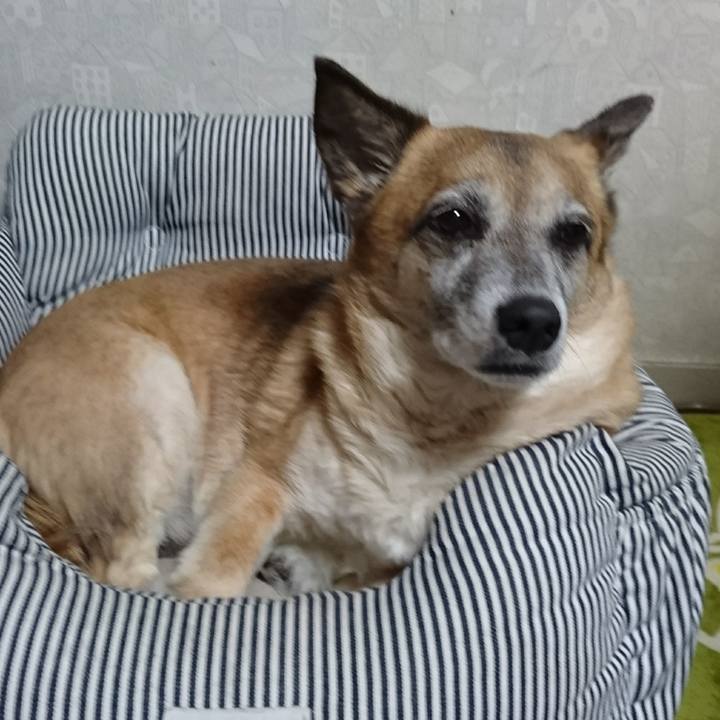 2f7ebd0b 3376 4aa9 b8c9 64c7999d55e8