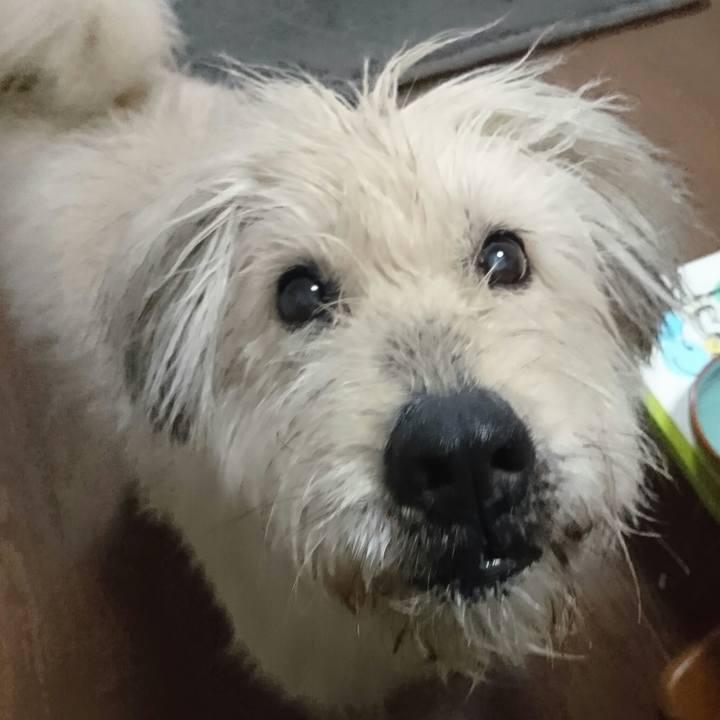 2f7efd01 358a 49d1 8bfb 41c561182a00