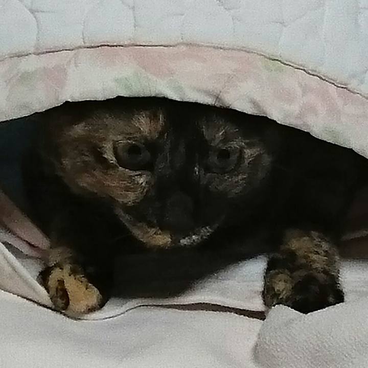 2f7f0602 e588 4d92 95b3 1f380b69d091