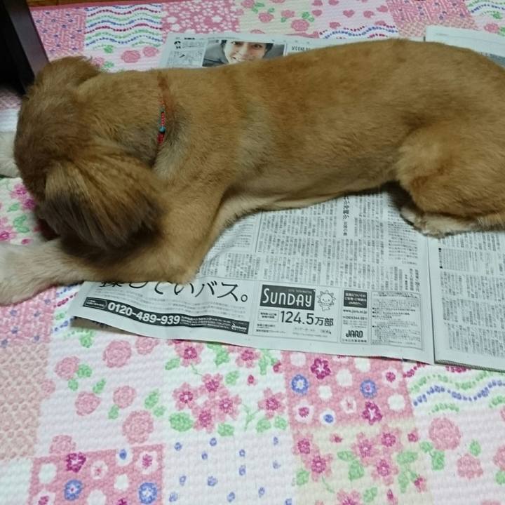 2f7fcf84 c743 4c8d bfe9 99859bbd2ca5