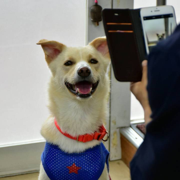 2f803867 812f 47b9 966d 71d51b4f2903