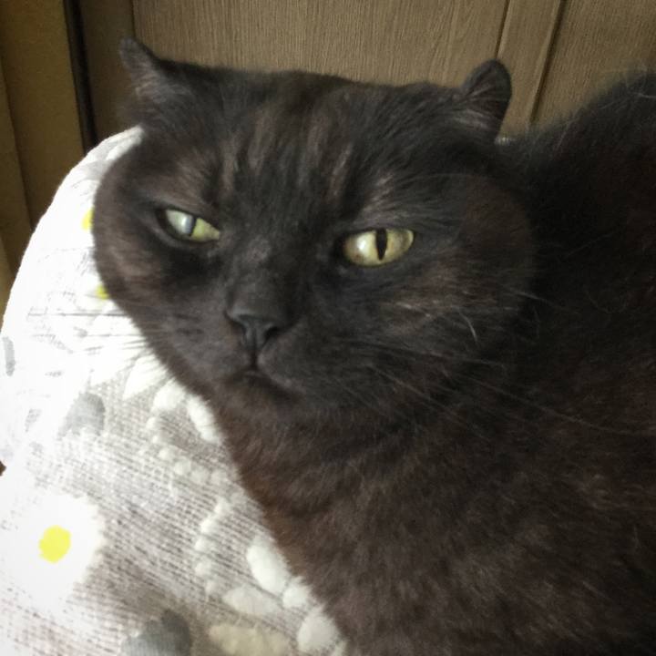 2f81e73f 3230 4c7f 8e50 36b81f04dacf