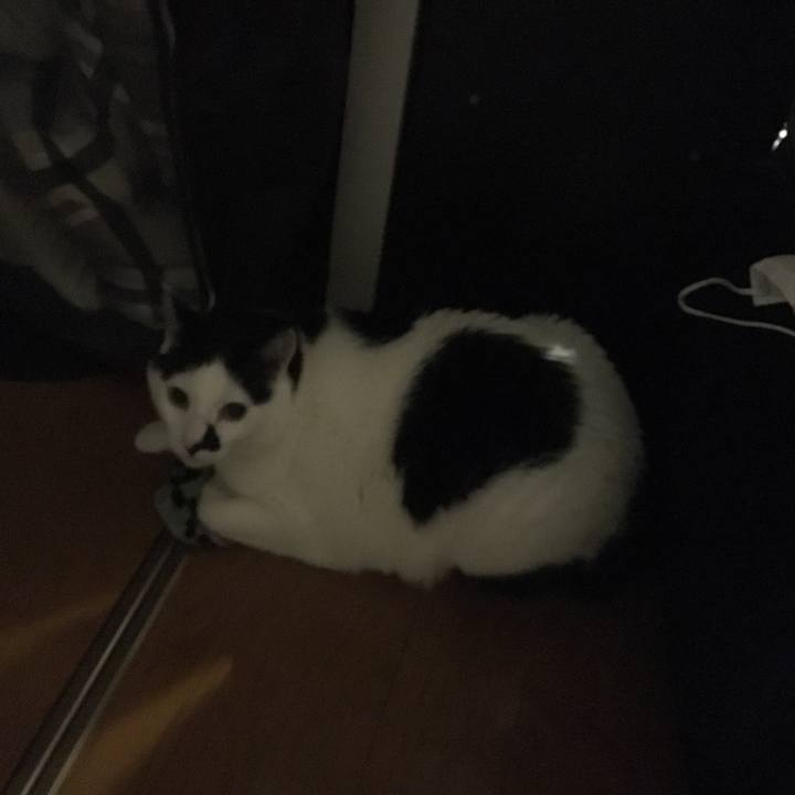 2f81ec98 33d3 4345 8f5c a45829155c42