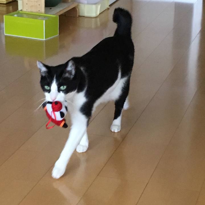 2f821c64 5b97 433e 8d85 b989ec9ab643