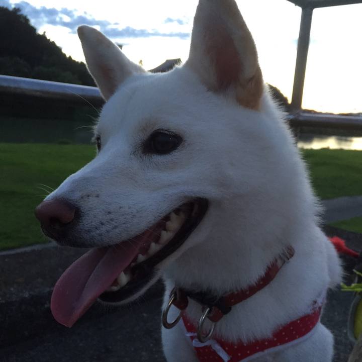 2f824bfe 29b5 40bb b4e7 aee7dc4b18b4