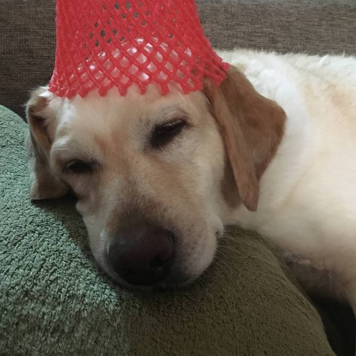 2f827a4a 95c6 4969 b7c0 146c6b39c95b