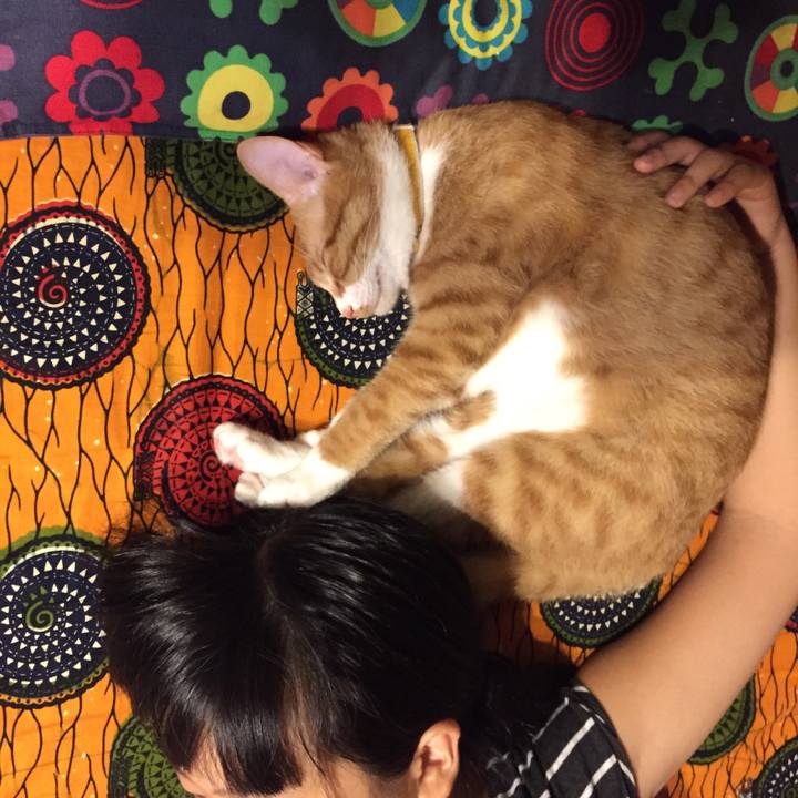 2f82974b b30e 4d62 9d9b 97a0a9238856