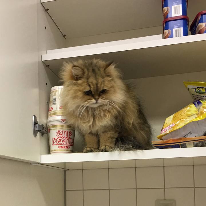 2f82bc07 64db 40f7 bda2 881f97d2b666