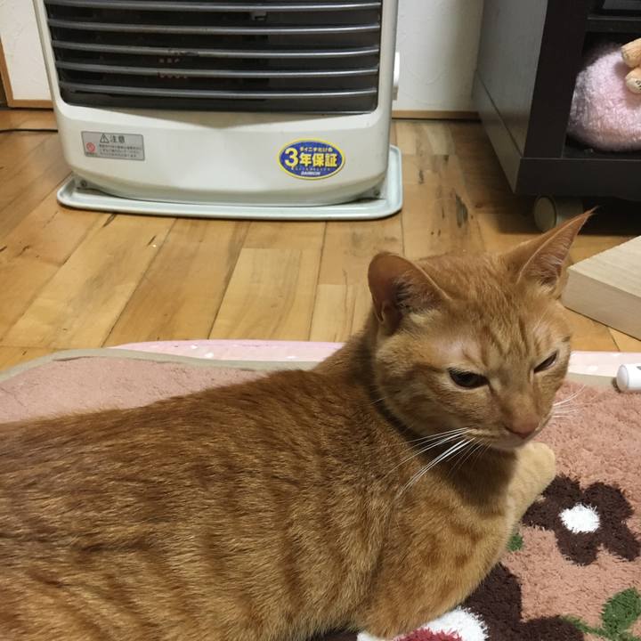 2f82bd03 f3f0 44ec 9a60 f4169541f144