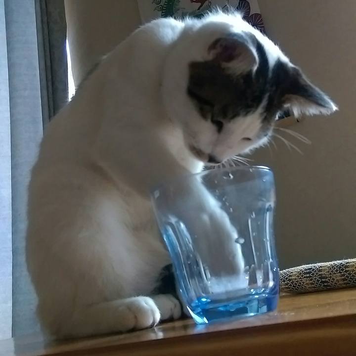 2f83229a 156f 41e0 a81c 967513641f51