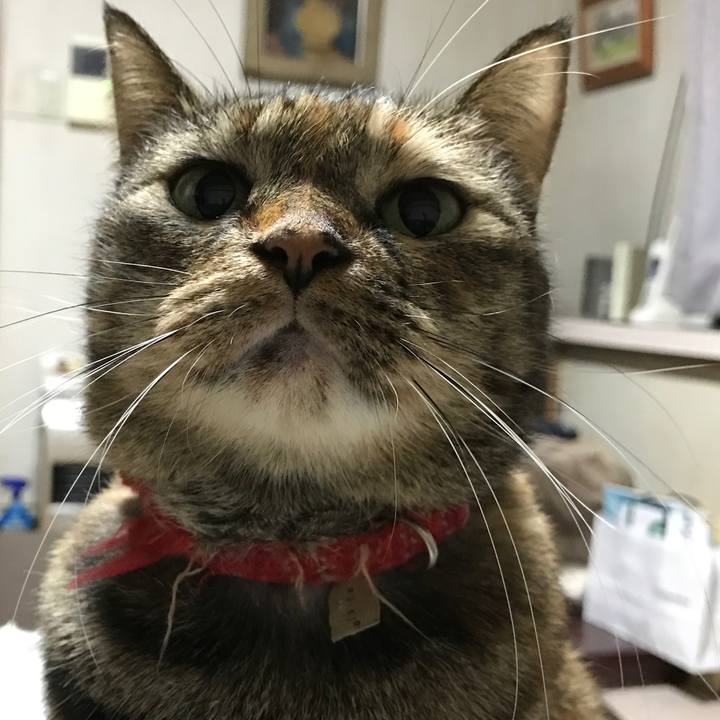 2f844fff ae3c 4840 beac 3f78b4a26c6c