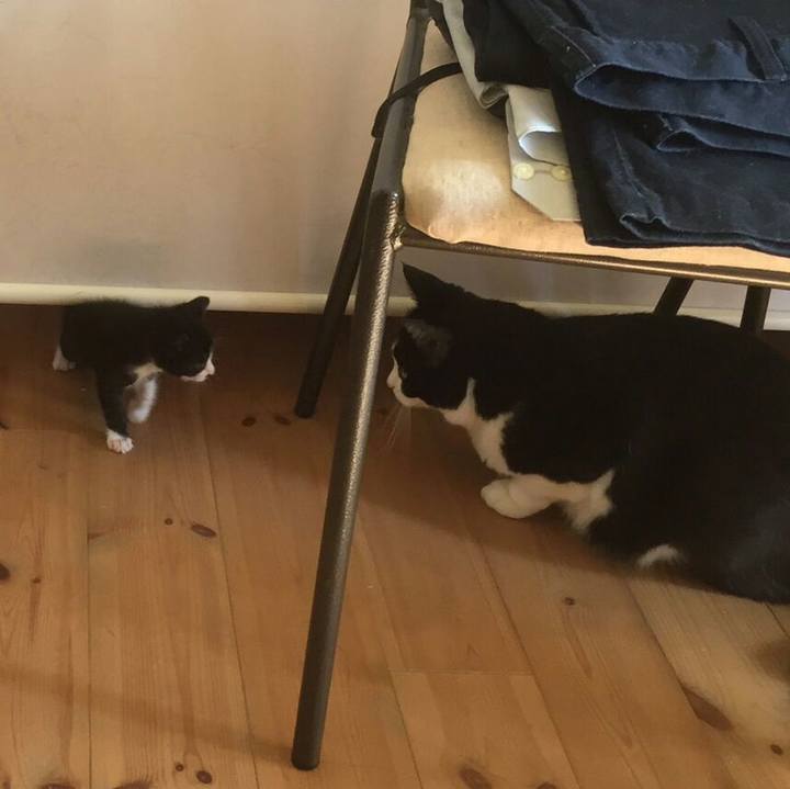 2f84ad51 d4f3 4568 8f4a 21be8ea7c5ef