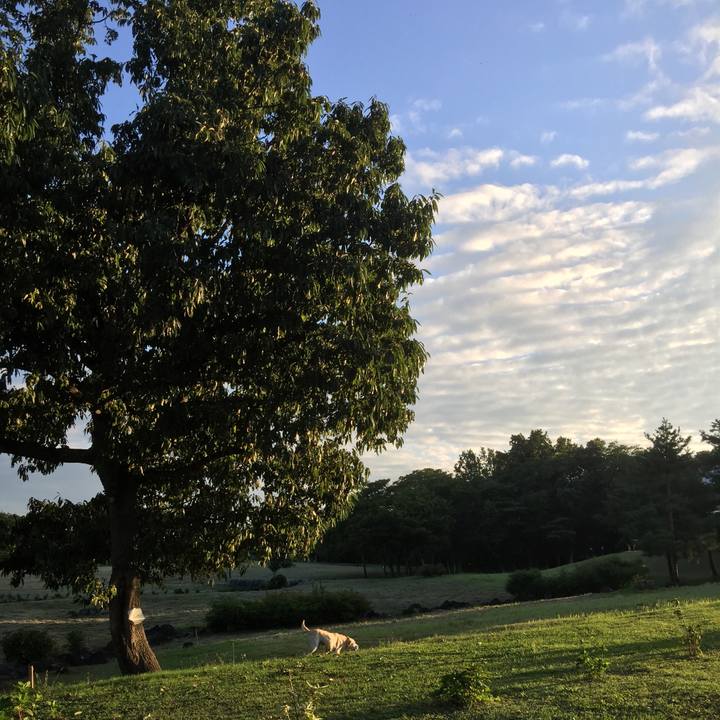 2f84b1be 7b8a 4af7 8e68 4b659278edba