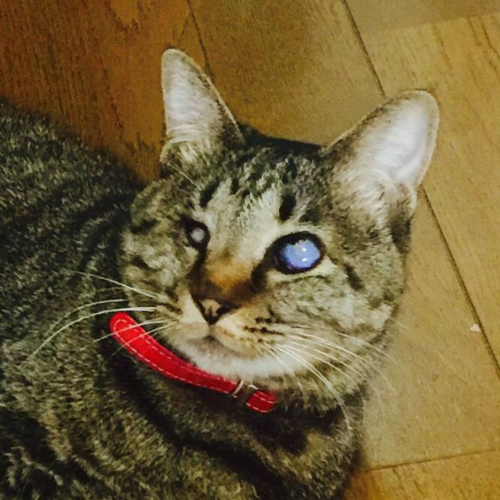 2f84e463 5248 4582 be4a e9682921fbf7