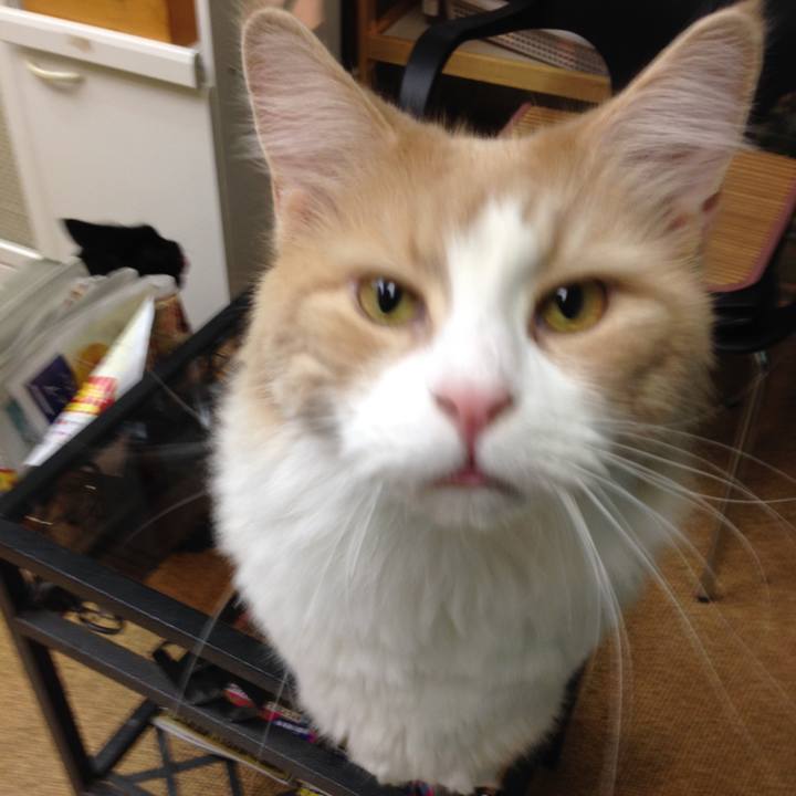 2f854fc7 d905 47c2 8c5e f9a683afc89b