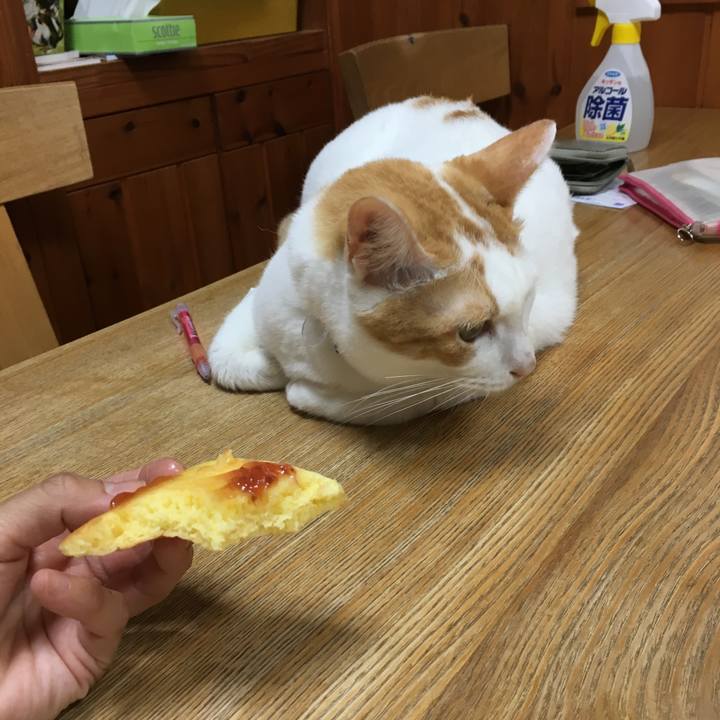 2f858300 2c7b 4bf4 b711 18ba3e5b689d