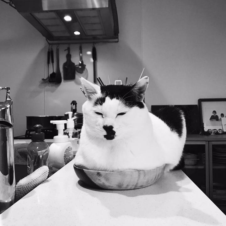 2f8645ba 4464 486c a4f8 67b36ae69578