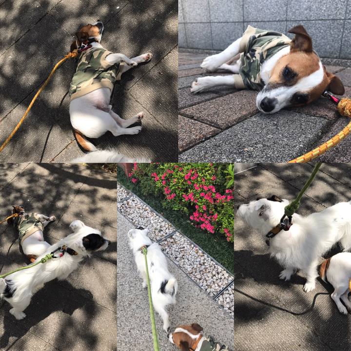 2f86537f fa17 42bf abaf 034da859608b