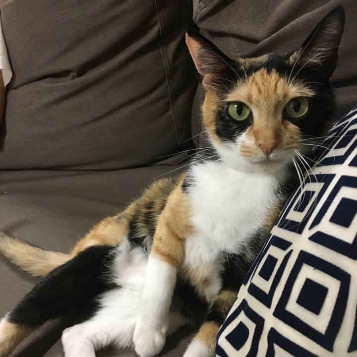 2f86eafe 08e8 49cd a9f6 935d89210504