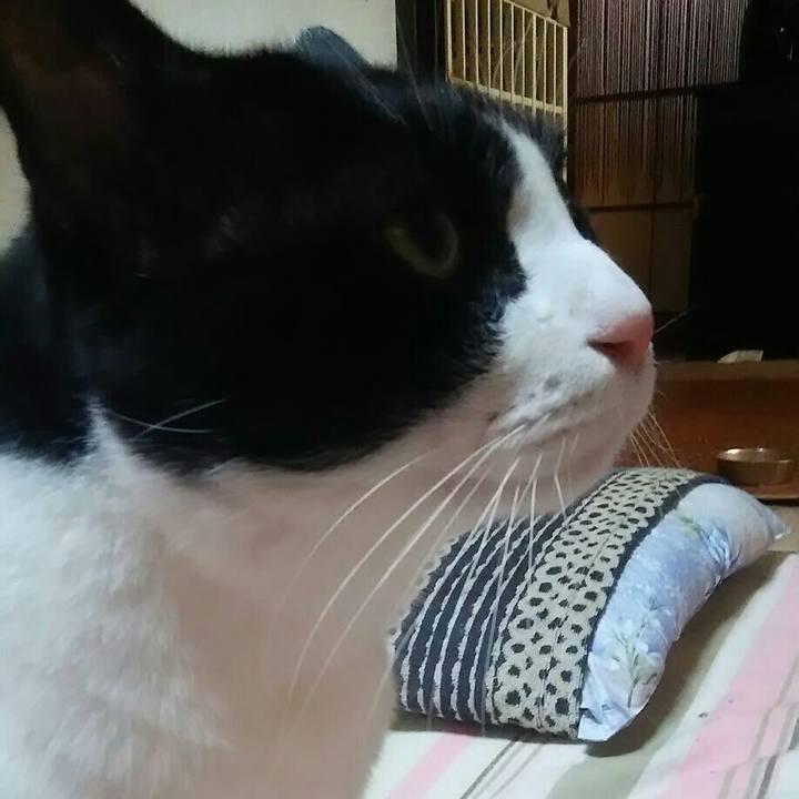 2f8736a1 5603 427d b388 d8fdc4216b3b