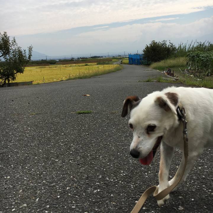 2f8787dd 5c5a 4648 93e5 23ebeab4fccb