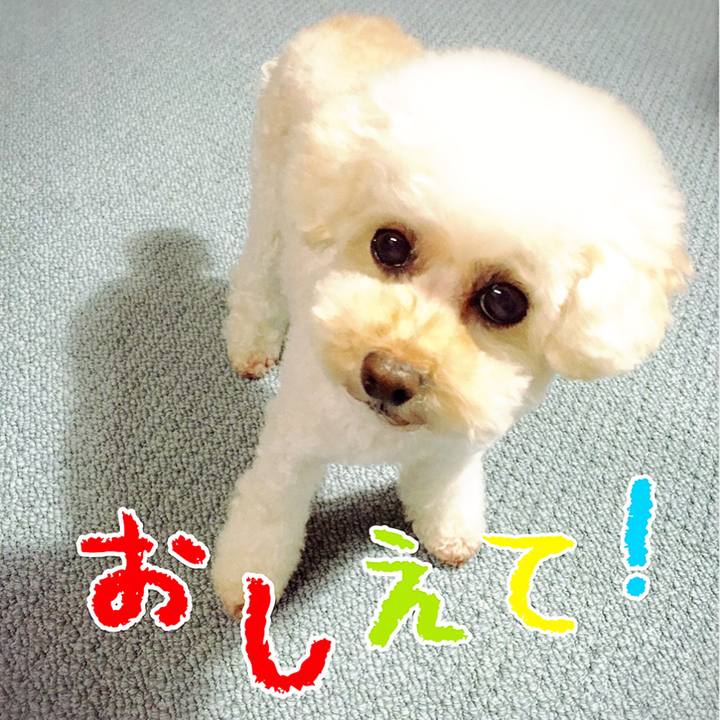 2f87fe67 b522 48f8 80cf 481f1c453f33