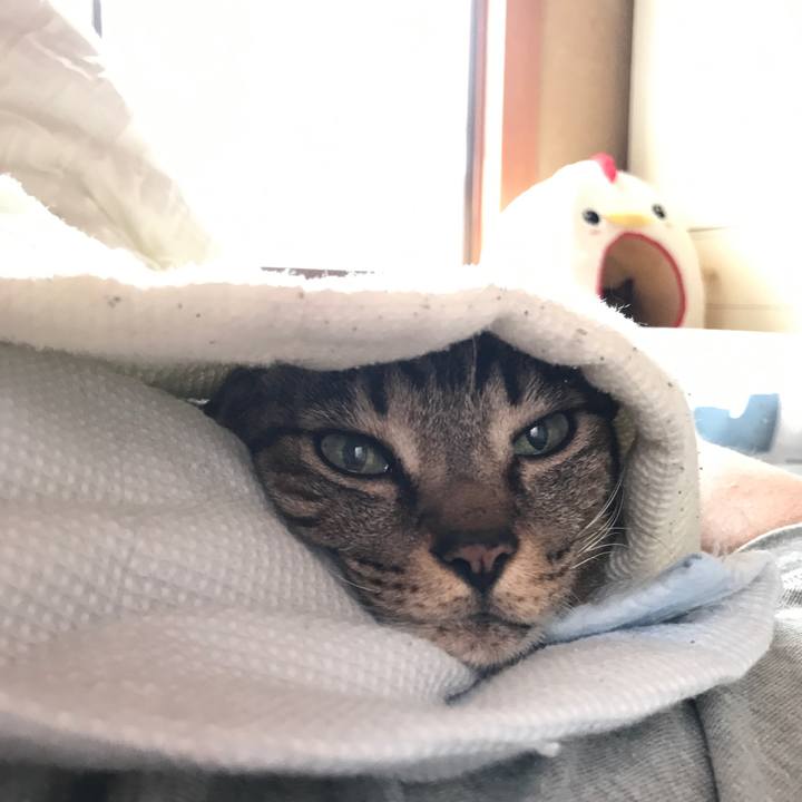 2f88aa24 d9d0 44af a4ed c6d5d099303b