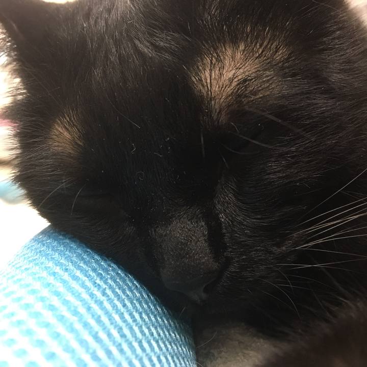 2f8906c5 c06d 4218 ad49 7a55005a1b0b