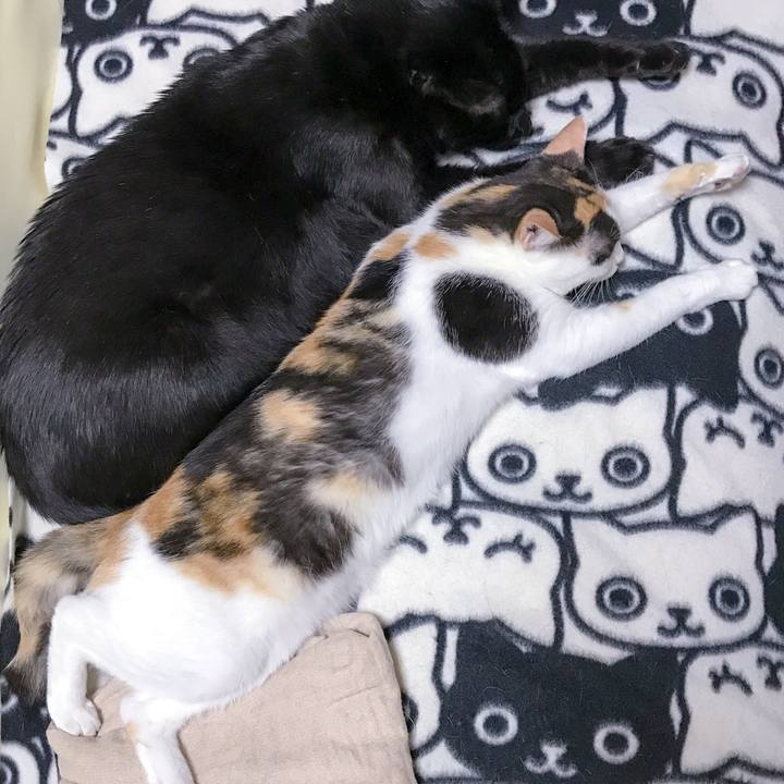 2f89b137 76b8 4e43 8588 be9d740e6110