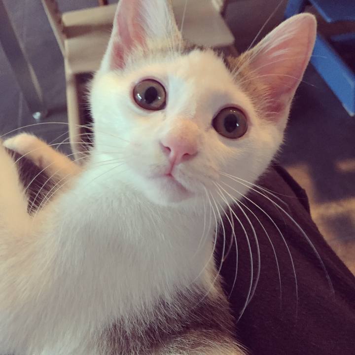 2f89c5aa 590a 4754 abb9 74d035bb2388