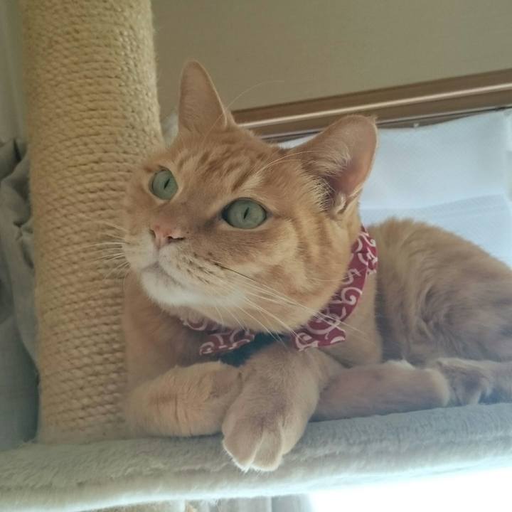 2f89d0a5 9c6e 4cf5 bb8c b6ec9fbcb8e3