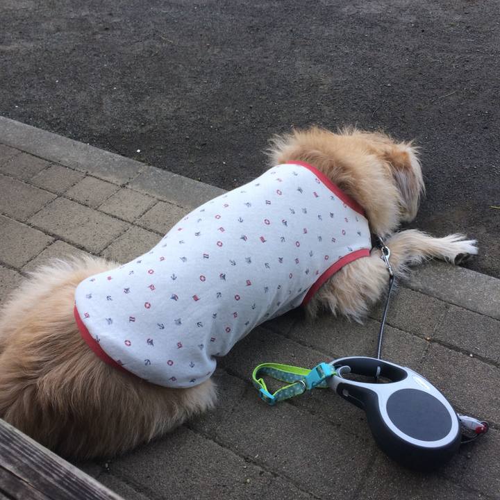 2f8a9330 67b1 4c85 b920 16a53500ecf1