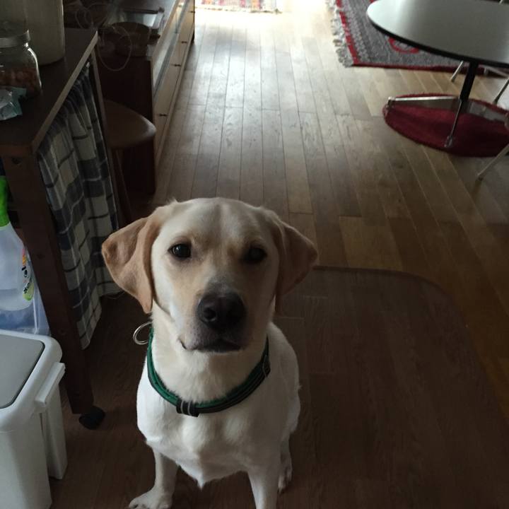 2f8ad91b 5a1e 496a 9ec8 70b8994d1877