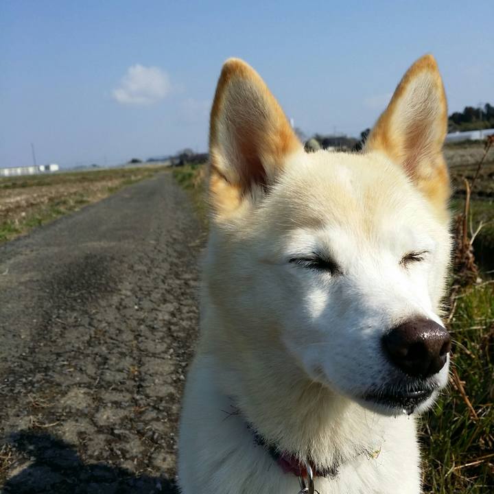 2f8b08f2 8e11 4b62 b195 d1c0fc94a102