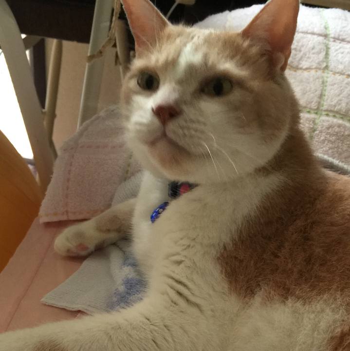 2f8b0ced 59d9 4308 8cc7 10482c80dcf6