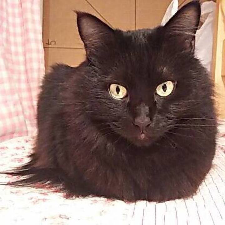 2f8b5821 2fc7 48bf 82c4 e0e2a3e7fcd3