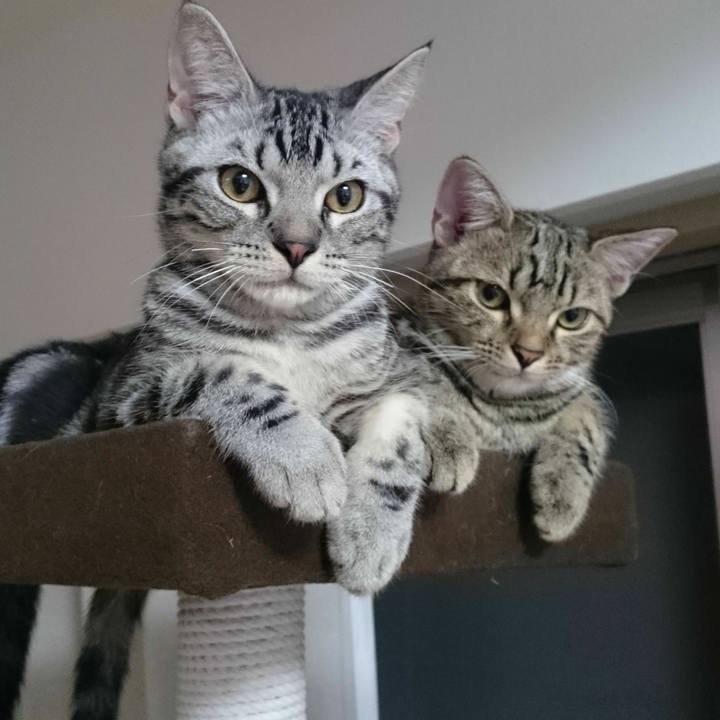 2f8bb465 291b 48b8 a75b a5d2de0d4ced