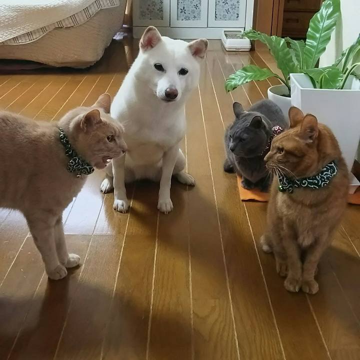 2f8c45a1 a2a2 4940 aa26 100f01e986ad