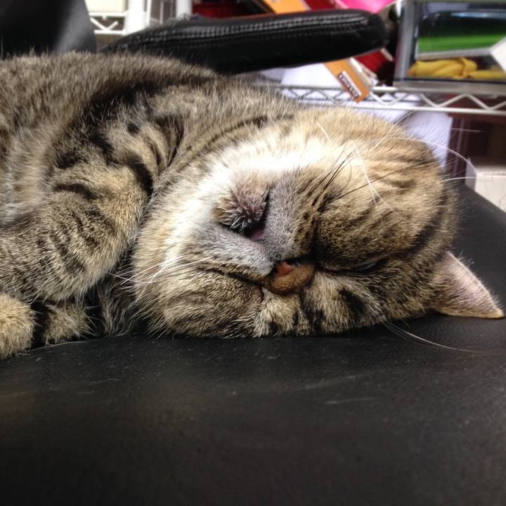 2f8cfc57 d87e 4315 844c 0fd171d0beeb