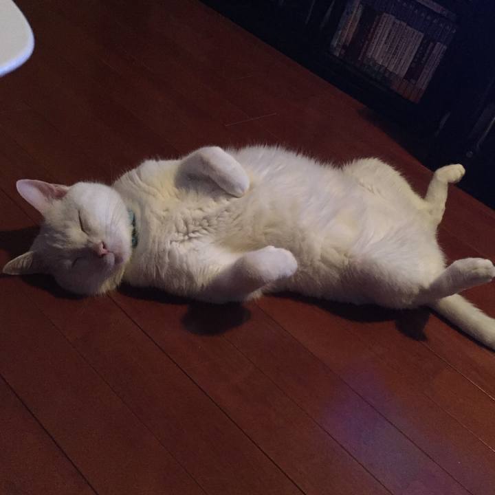 2f8e70ce de4c 4b9c 8b1f cfa870da7c9e